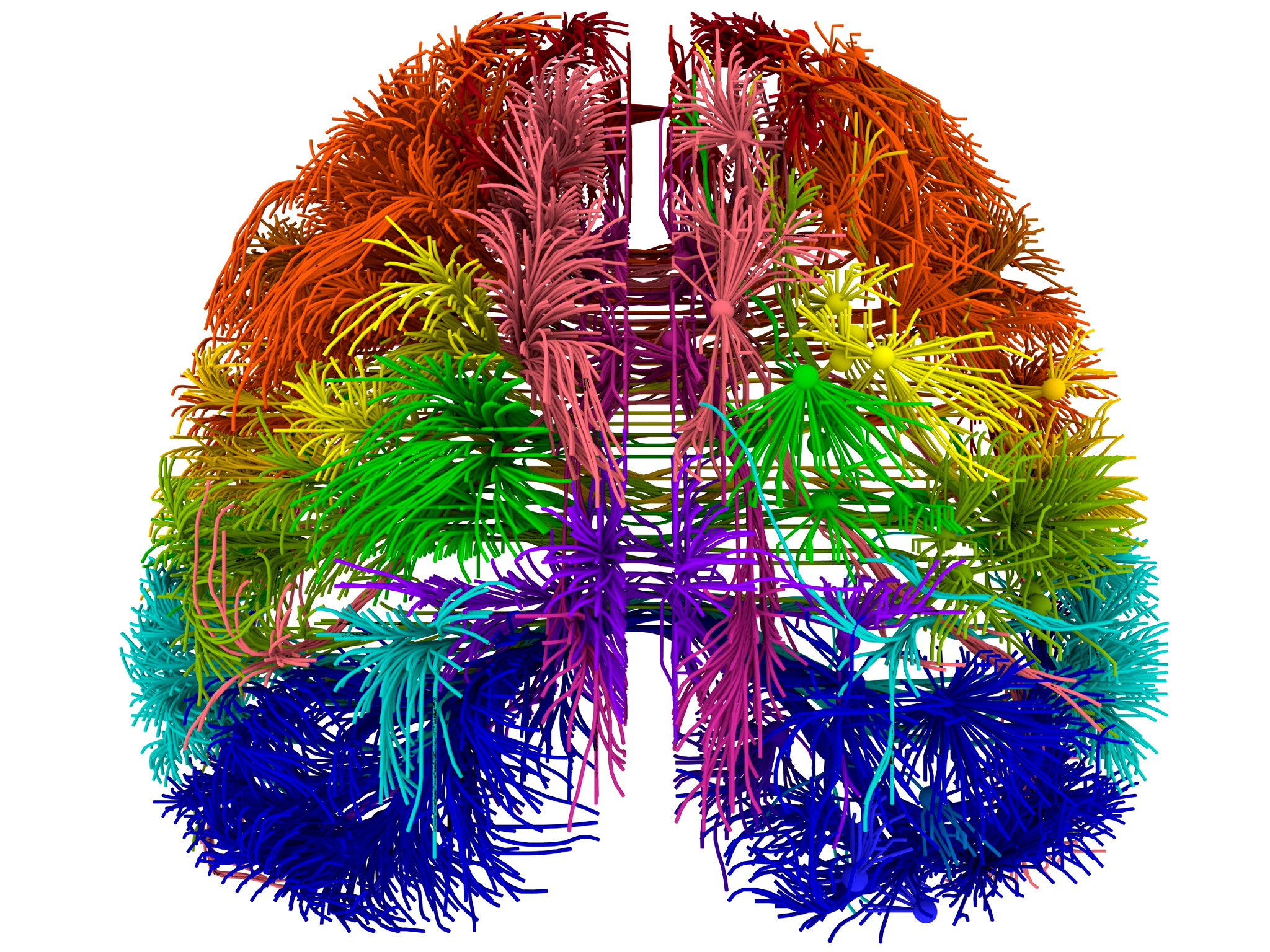 Dna Brain