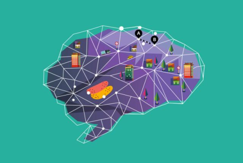 Descoberto novo grupo de neurônios do nosso “GPS interno”